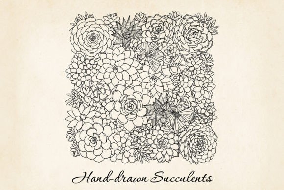 Succulents Frame SVG Clipart, Hand-drawn